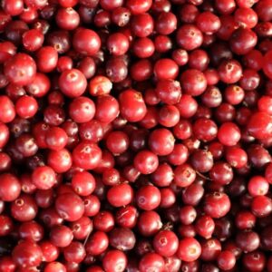 Cranberry-extract