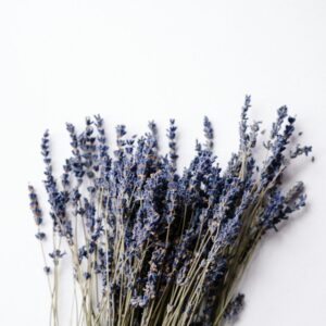 Lavendelolie